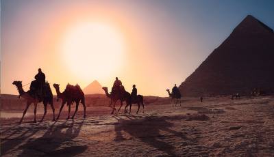 مصر
